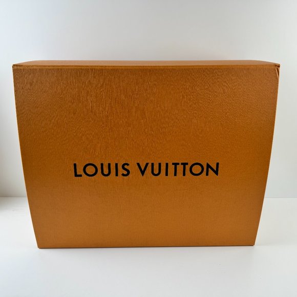 LOUIS VUITTON N40306 Damier Infini Backpack Rucksack Black Men's - Picture 2 of 16